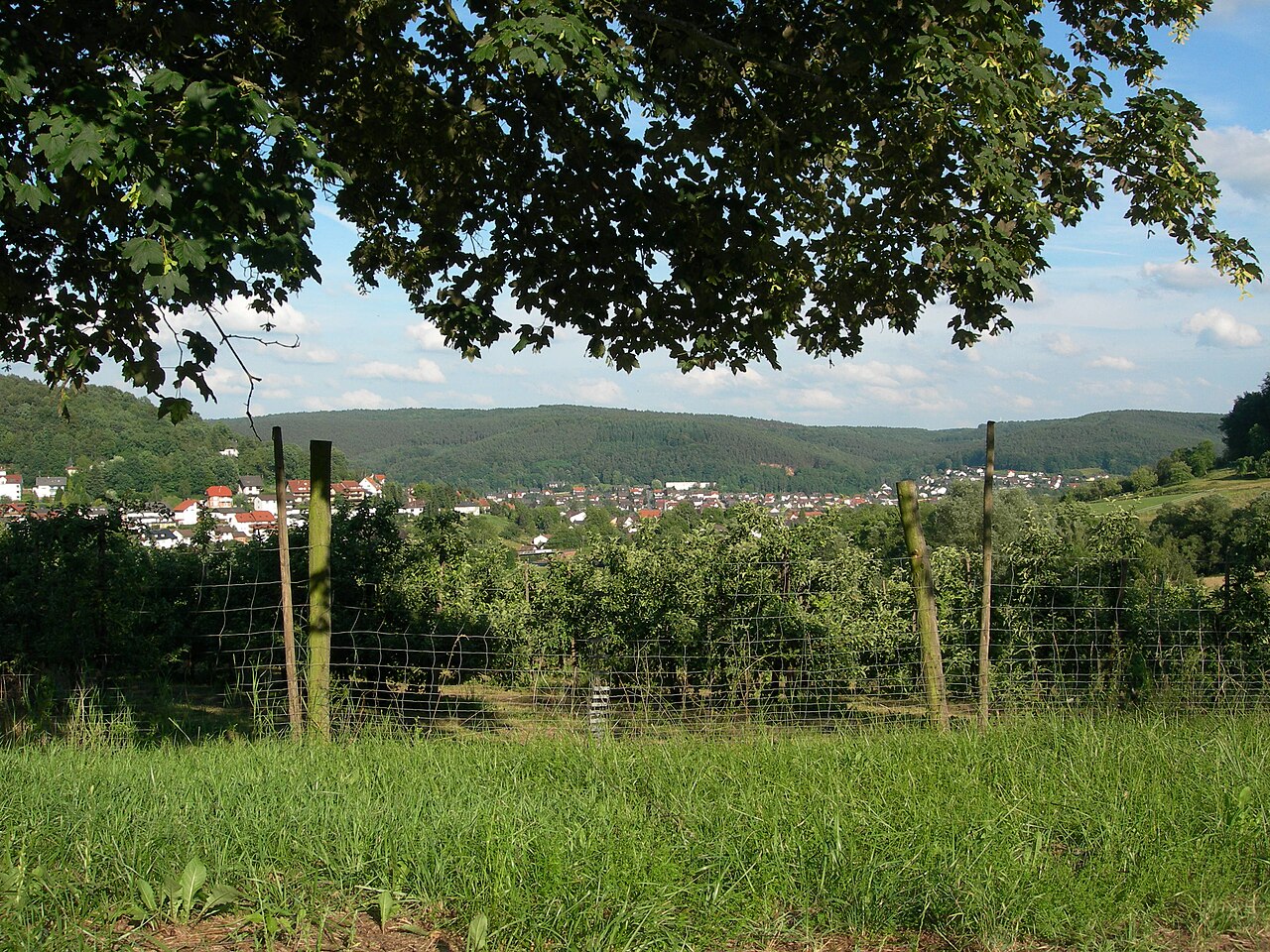 Stadtansicht von Höchst im Odenwald