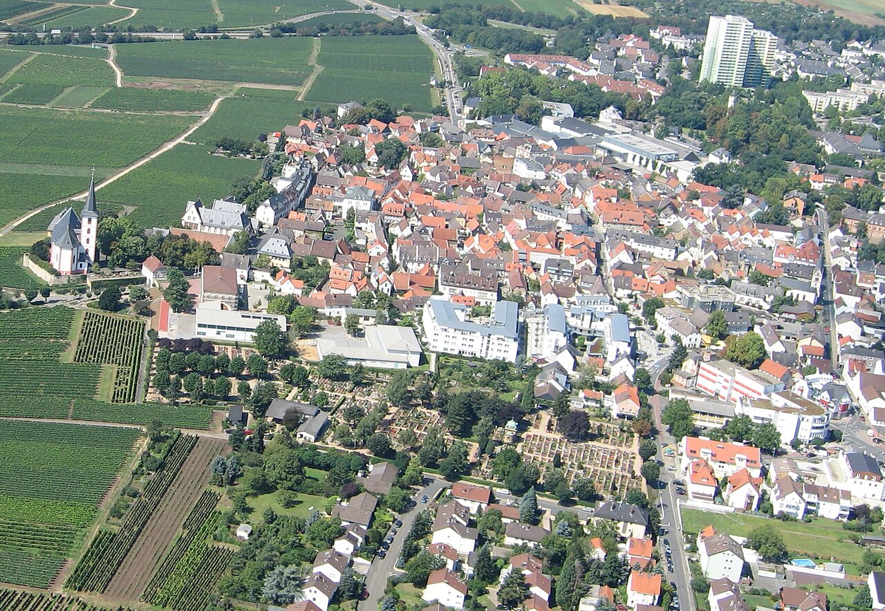 Stadtansicht von Hochheim am Main