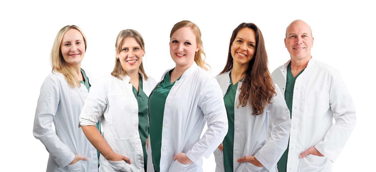 Zentrum für ganzheitliche Zahnmedizin, Dr. Isabell Jensen, Zahnarzt in Rödermark – Foto 1 von 1