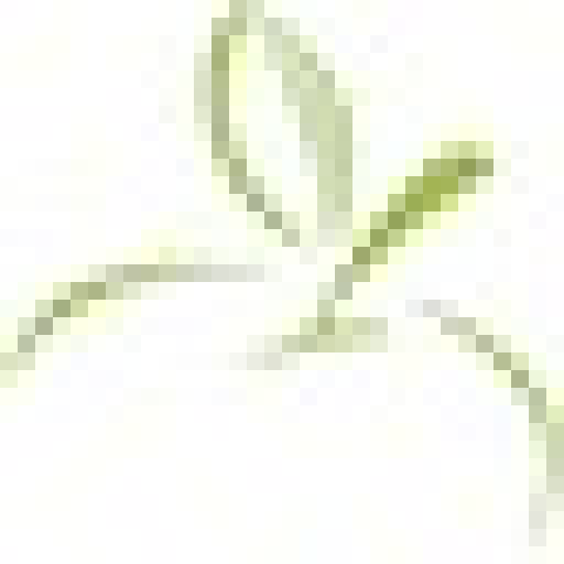 Herr Dr. Karim Mollaakbari