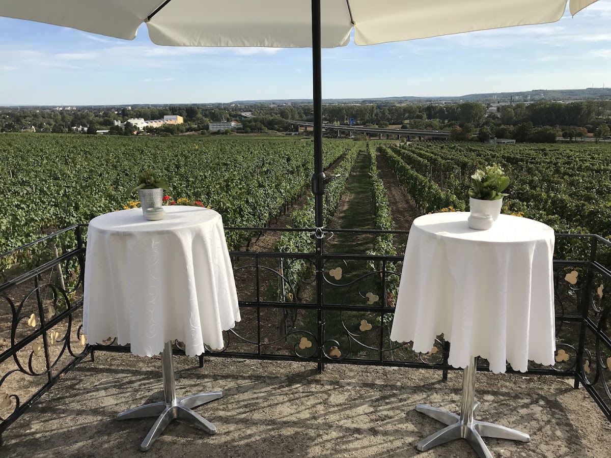 Daubhäuschen, Restaurant in Hochheim am Main – Foto 1 von 1