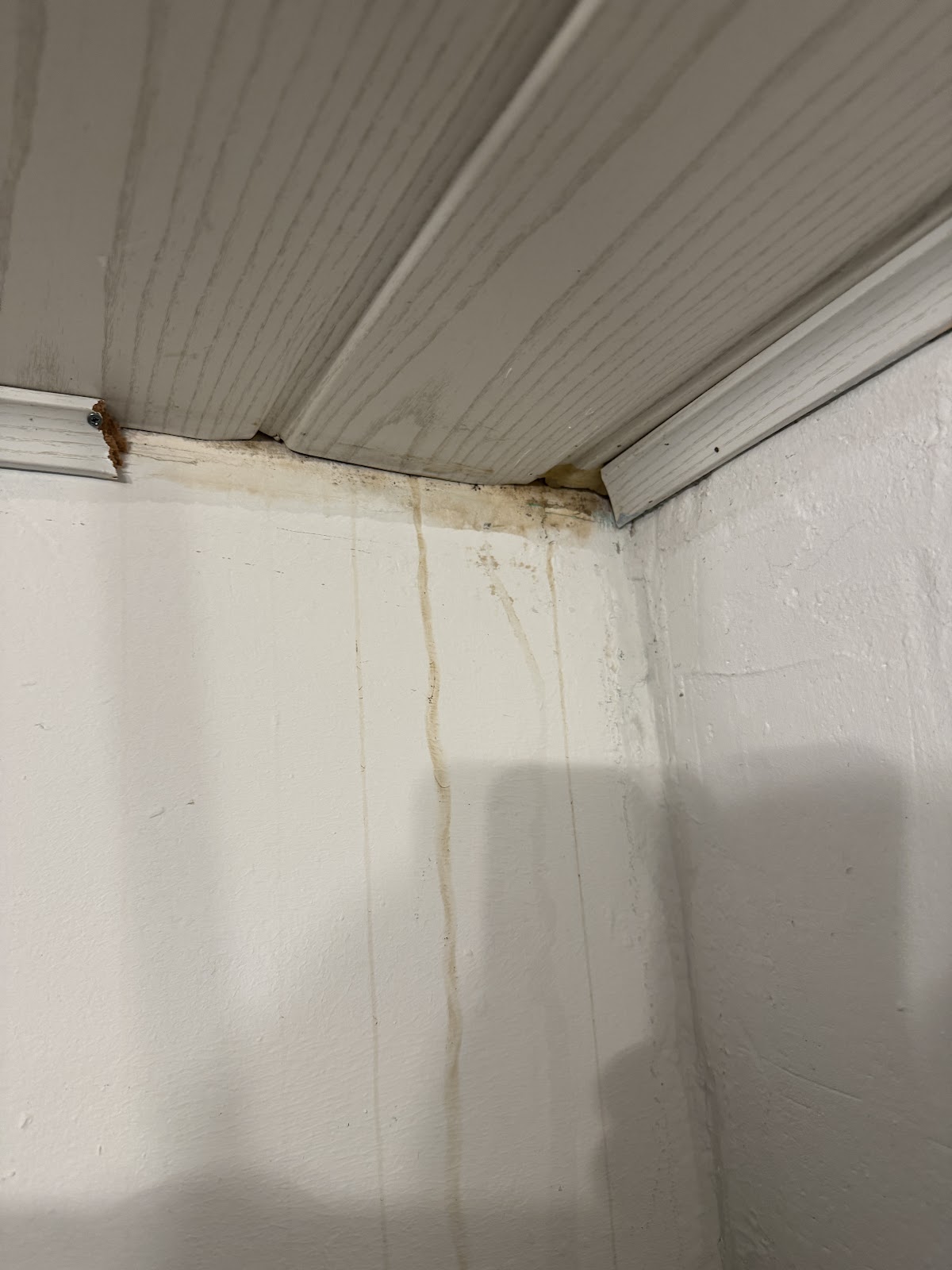 Watertec Leckortung