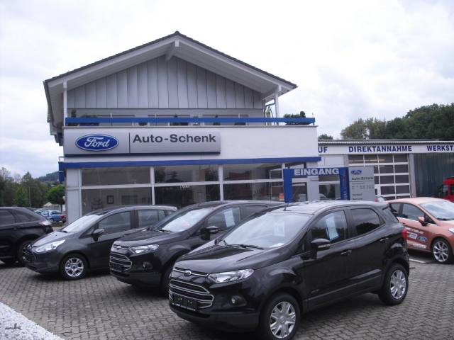 Auto-Schenk, Inh. Matthias Schenk e.K., Autohaus in Flörsbachtal – Foto 1 von 1