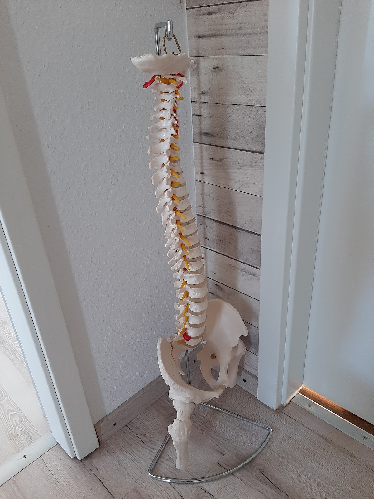 Privatpraxis für Physiotherapie Vanessa Groos VanSport