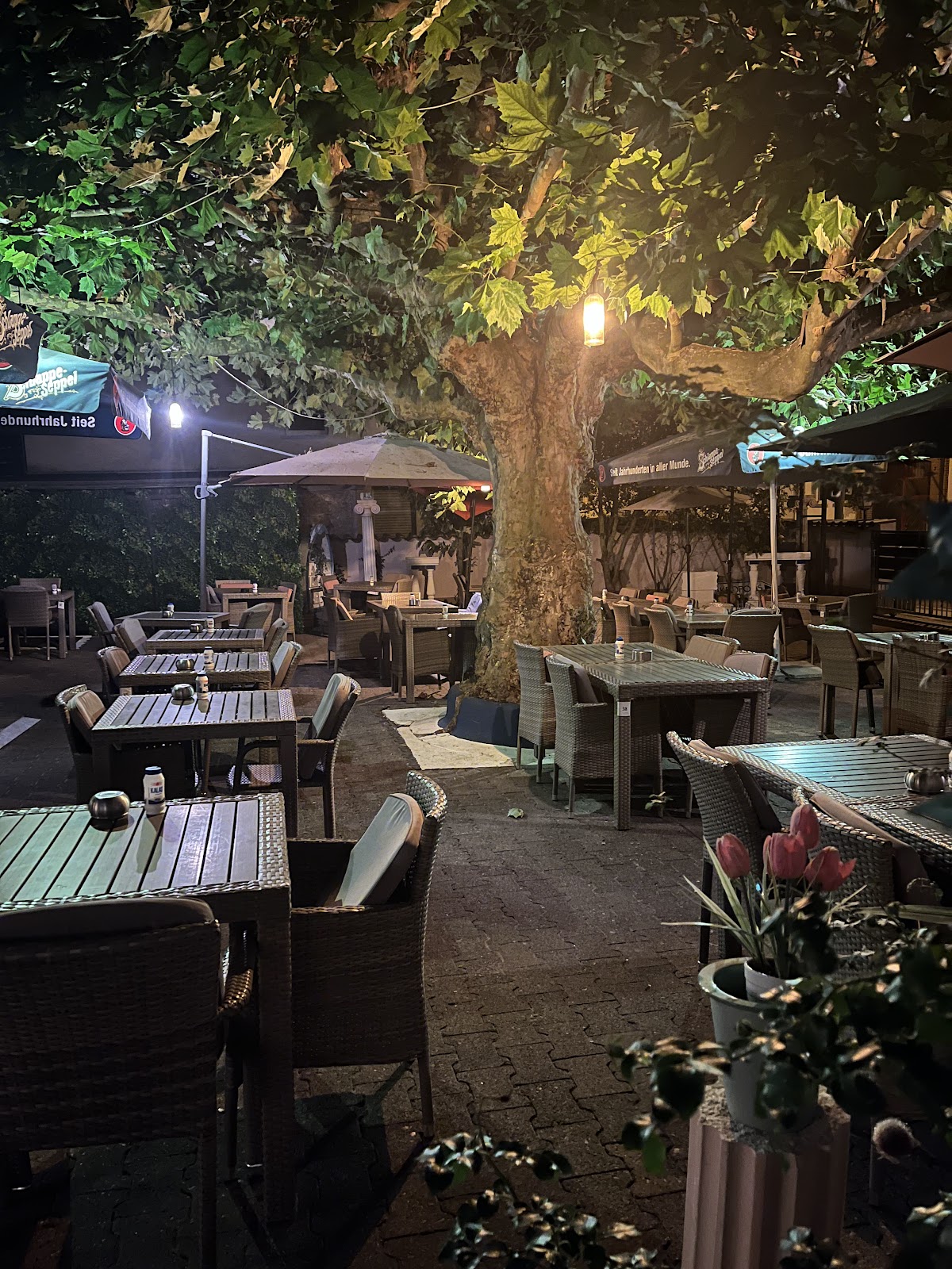 Akropolis, Restaurant in Hanau – Foto 1 von 1
