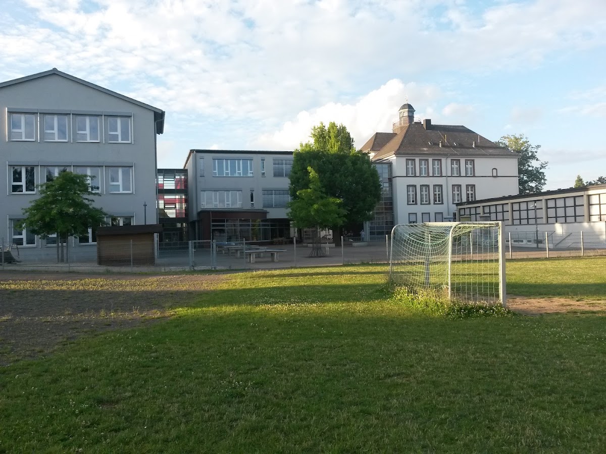 Albert-Schweitzer-Schule Alsfeld, Schule in Alsfeld