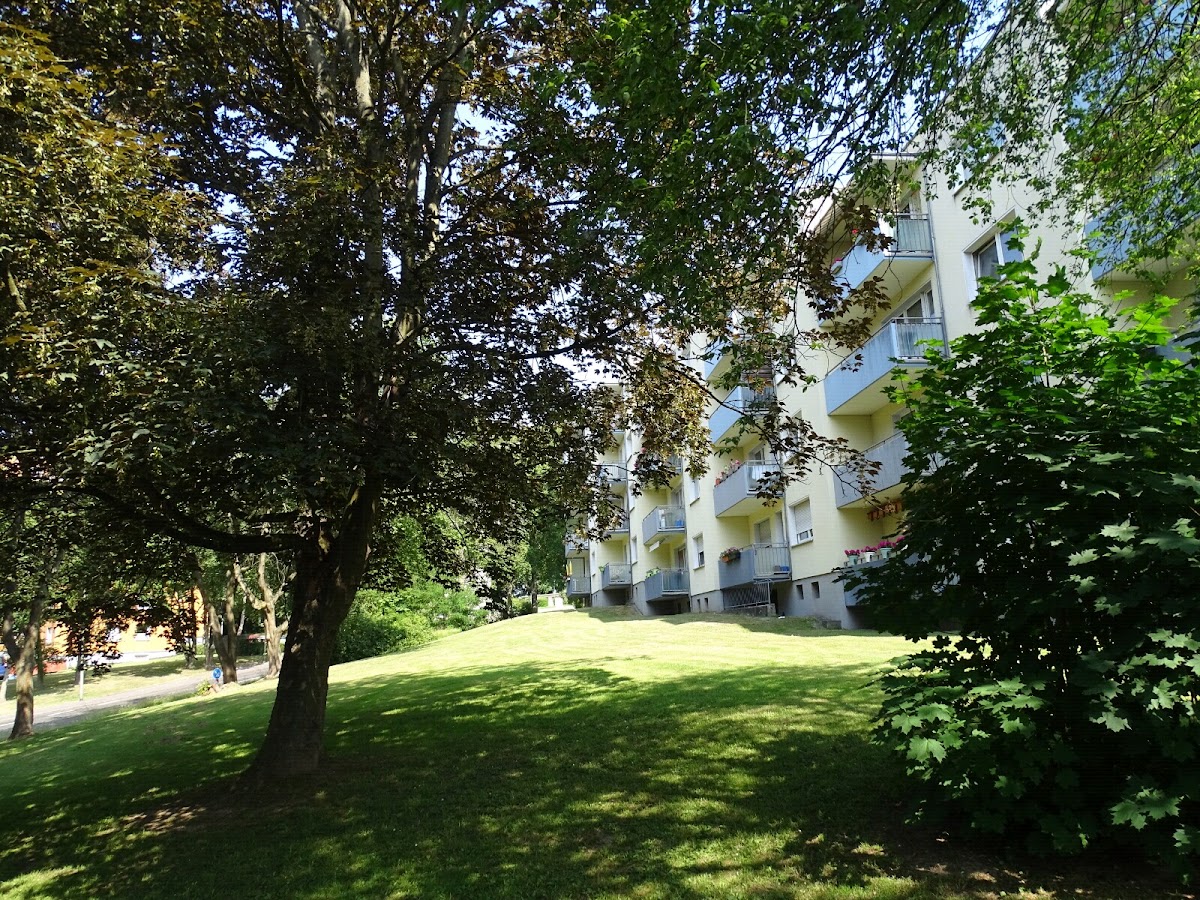 Alexander-Schmorell-Schule, Schule in Kassel