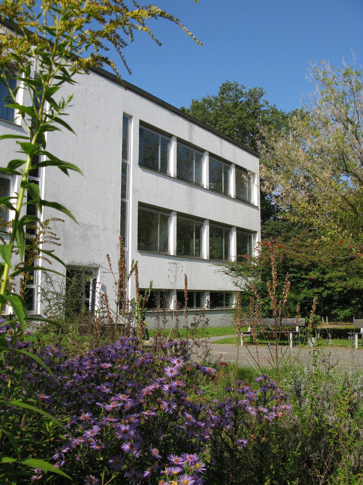 Alice-Eleonoren-Schule, Fachschule für Sozialpädagogik, Schule in Darmstadt