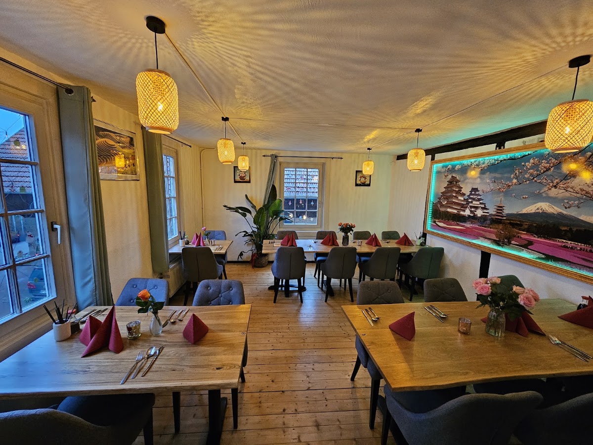 Asia Tokyo, Restaurant in Wald-Michelbach