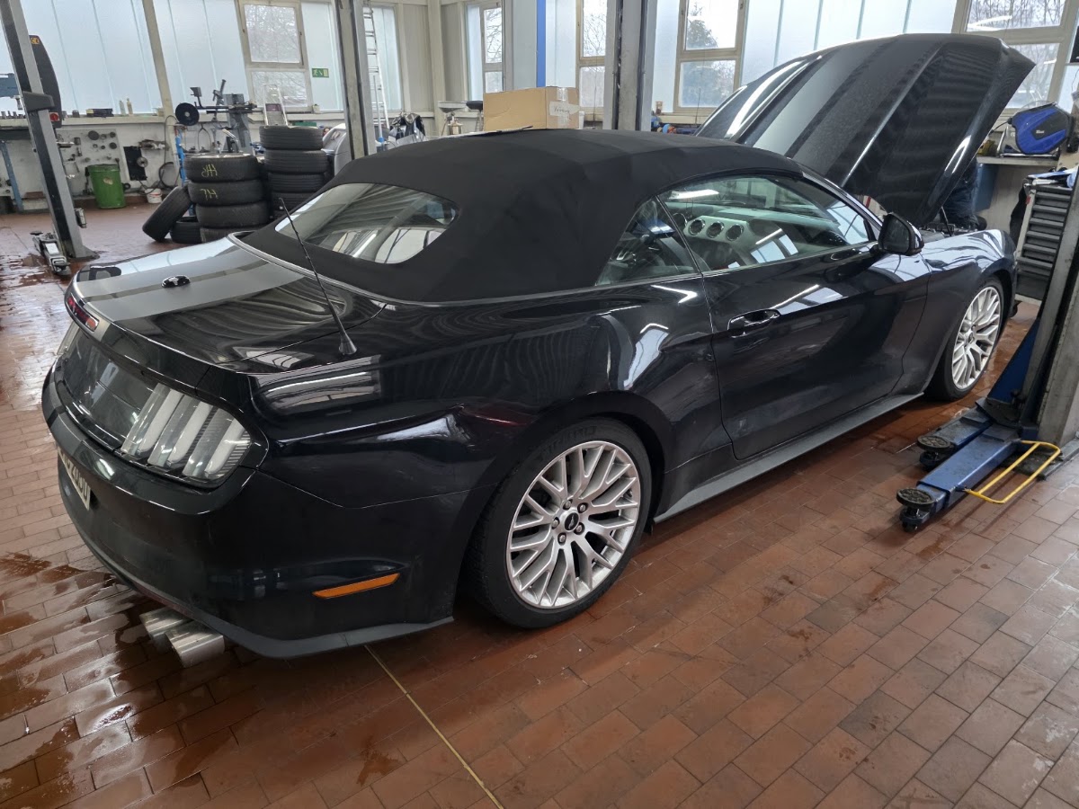 Autohaus Sorg Hünfeld GmbH & Co. KG, Autohaus in Hünfeld – Foto 1 von 1