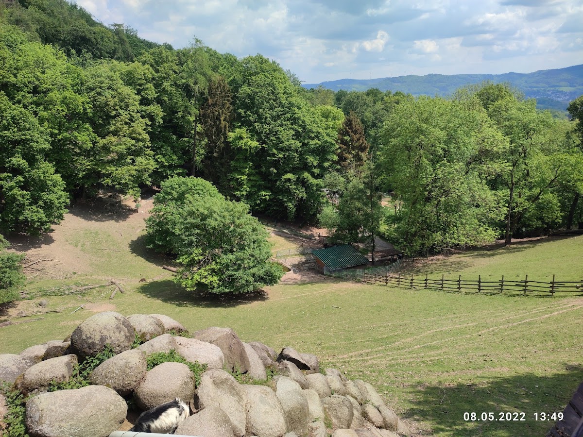 Bergtierpark Fürth-Erlenbach, Klima in Fürth