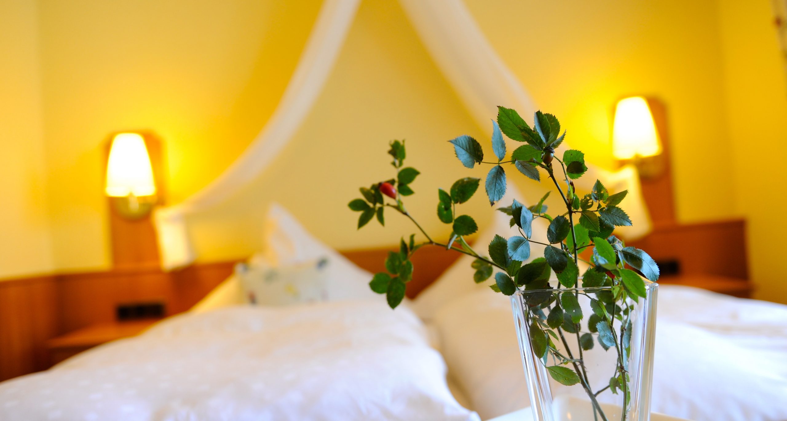 Bio‑Hotel Forellenhof, Hotel in Bad Endbach