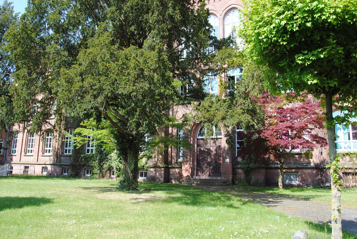 Bundespräsident-Theodor-Heuss-Schule, Schule in Homberg (Efze)