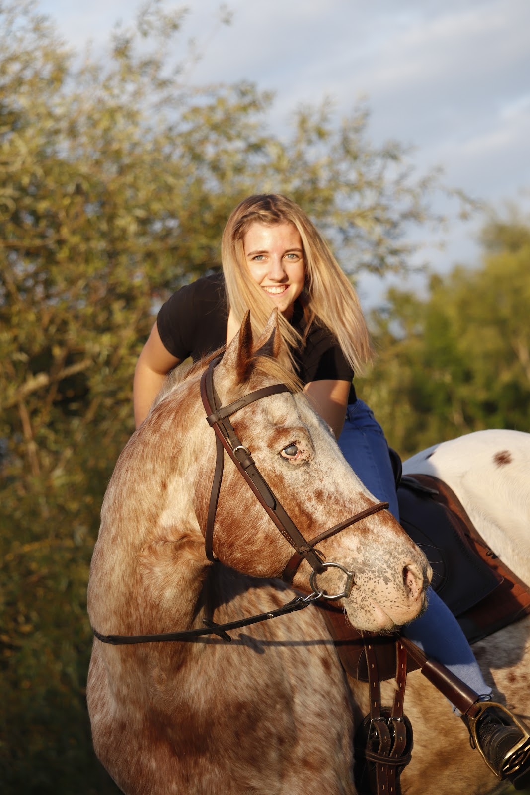 Deine Tierphysiopraxis - Tamara Bedacht Tierphysiotherapie, Physiotherapie in Niddatal