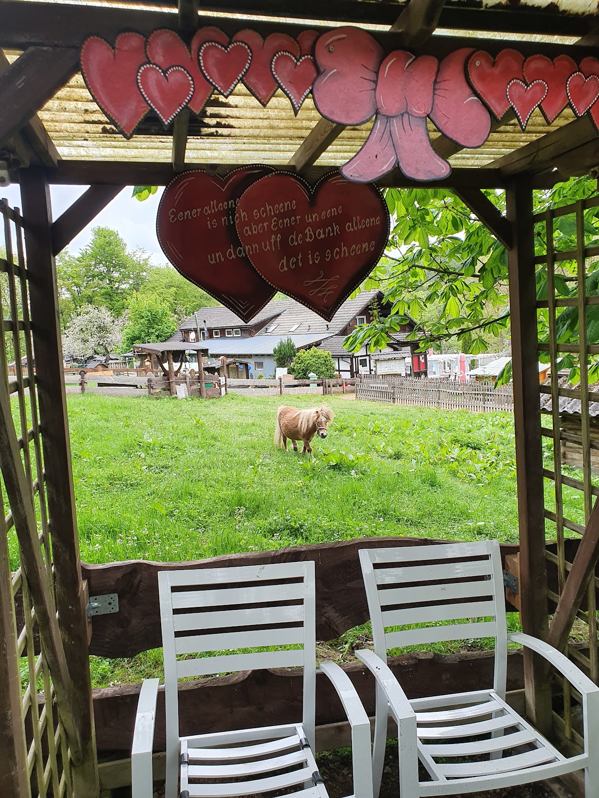 Waldgaststätte Rose, Restaurant in Söhrewald – Foto 1 von 1