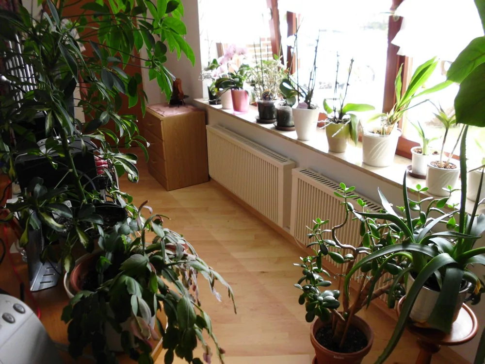Elektroheizung Kassel, Heizung in Calden