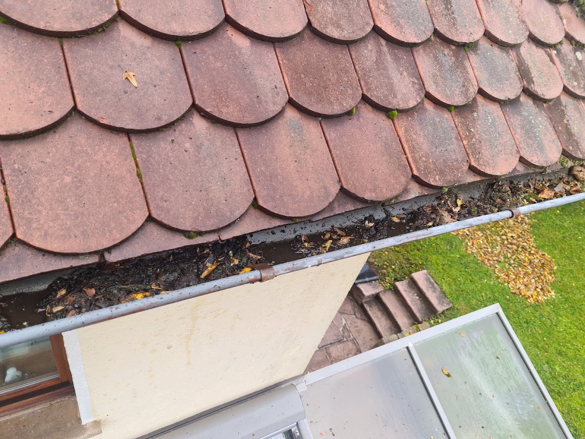 ElenRohr - Kanalreinigung Rohrreinigung sowie Dachrinnenreinigung, Rohrreinigung in Staufenberg