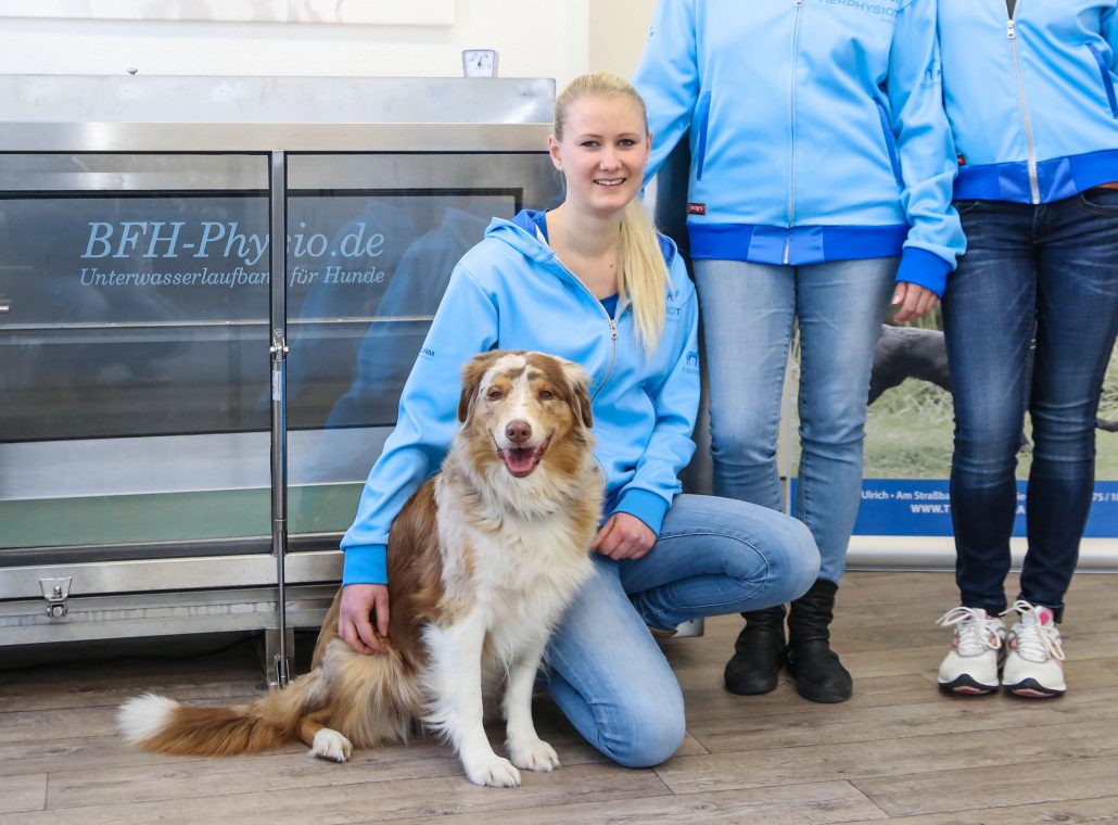 Tierphysioteam Friedberg