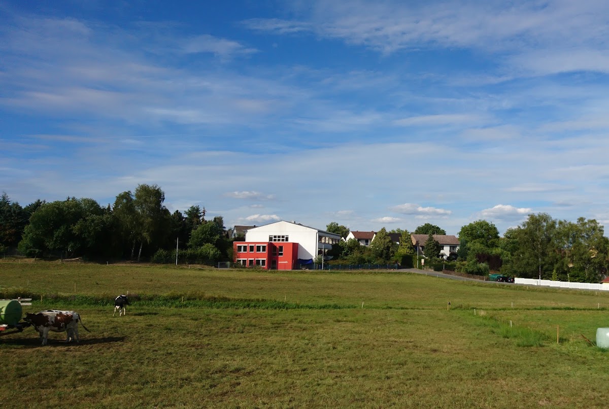 Fledermausschule Laufenselden, Schule in Heidenrod