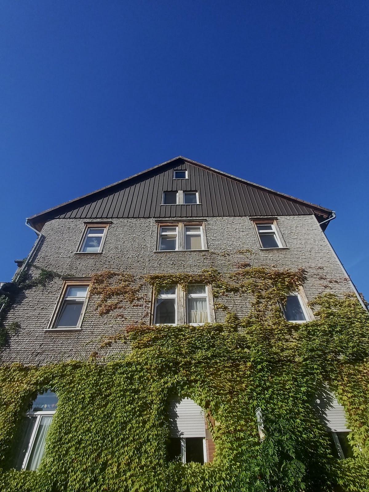 Frau Dr. med. Ingrid Böcker, Arzt in Schlitz