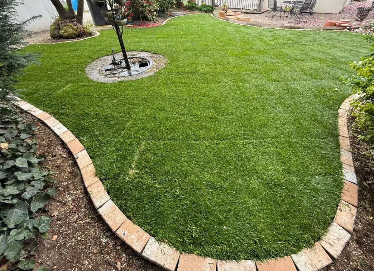 Garten Design Grün, Gartenbau in Wetzlar