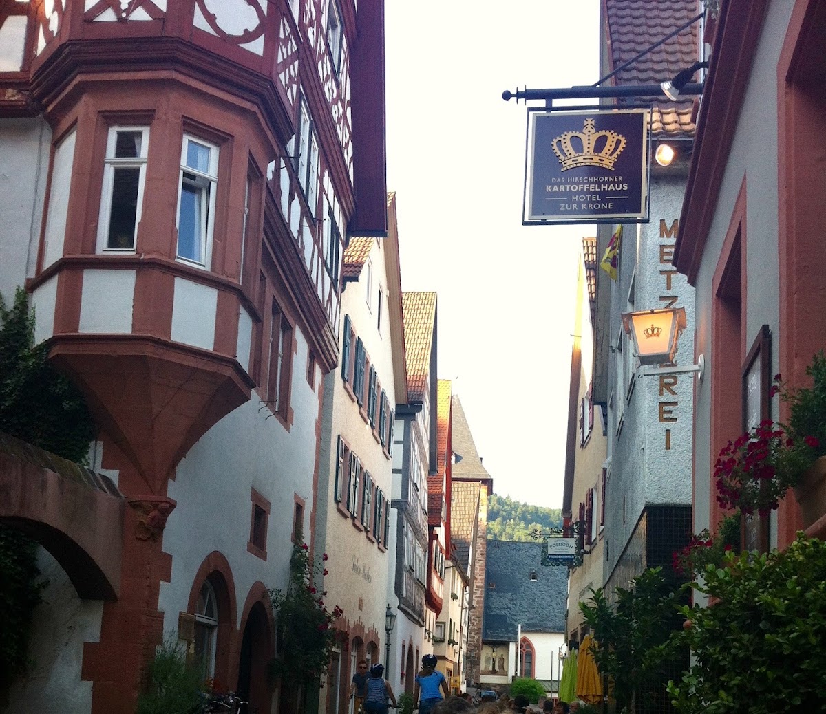 Gasthaus Traube, Restaurant in Hirschhorn (Neckar)