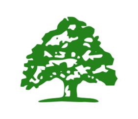 Gaststätte Zum Grünen Baum, Restaurant in Bad Soden am Taunus