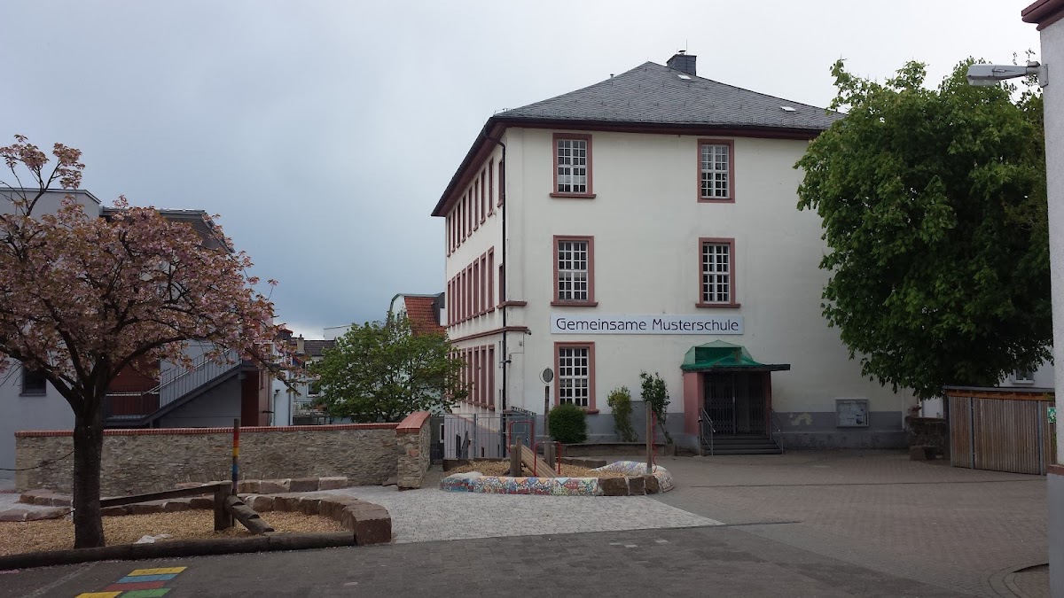 Gemeinsame Musterschule, Schule in Friedberg (Hessen)