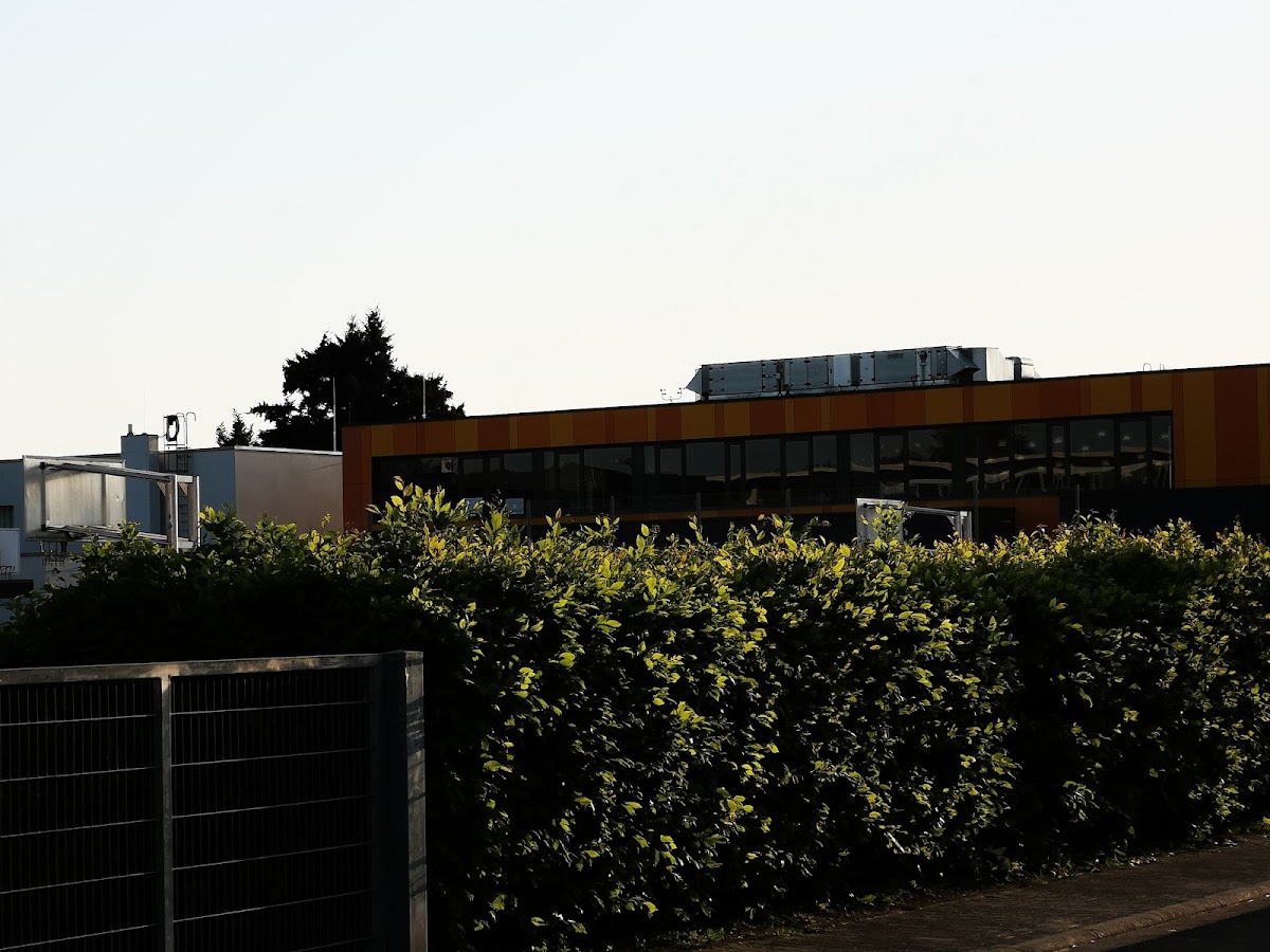 Georg-Büchner-Gesamtschule, Schule in Rodgau