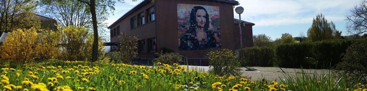 Gesamtschule Hungen, Schule in Hungen