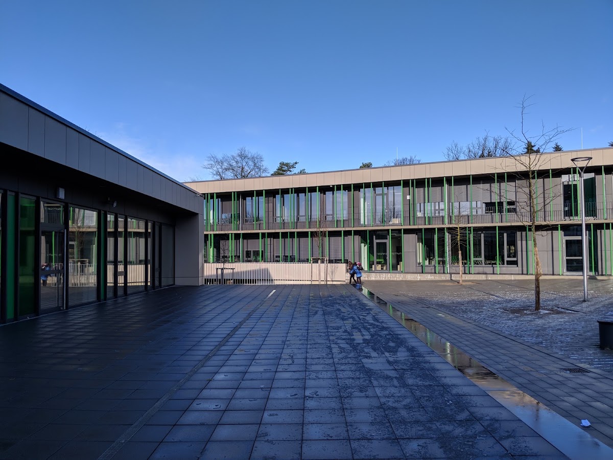 Gesamtschule Melsungen, Schule in Melsungen