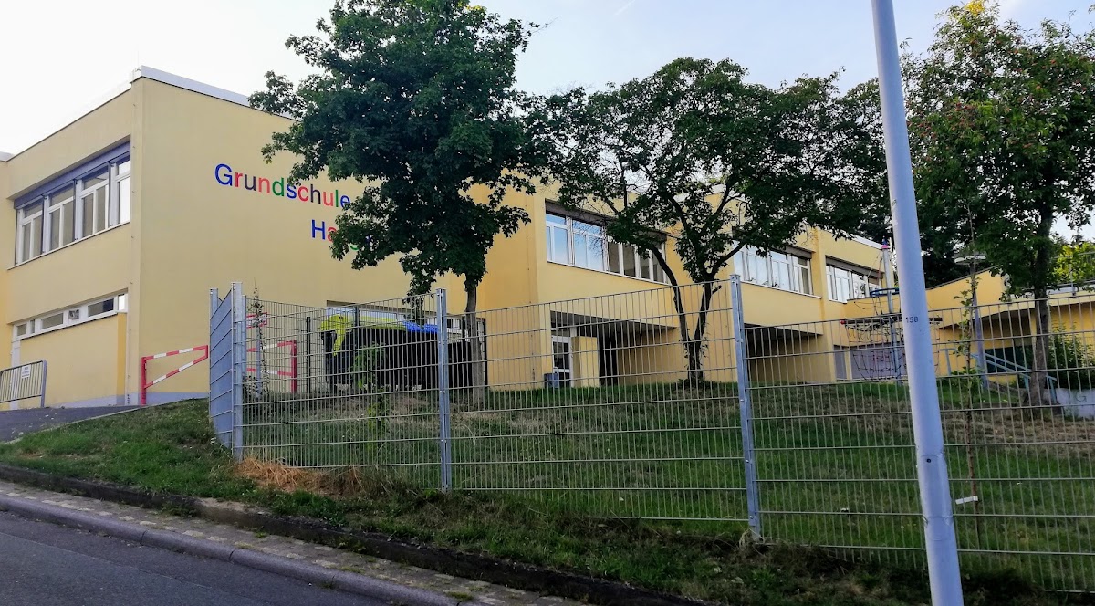 Grundschule Hallgarten, Schule in Oestrich-Winkel – Foto 1 von 1