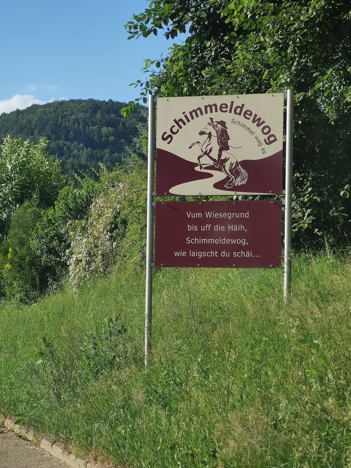 Grundschule Schimmeldewog, Schule in Wald-Michelbach
