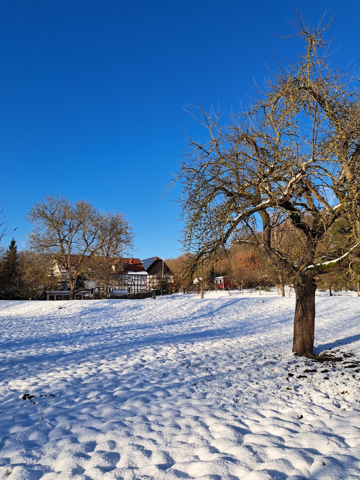Grundschulen Fritz-Hufschmidt, Schule in Zierenberg