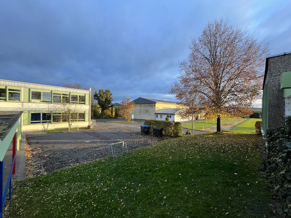 Gudrun-Pausewang-Schule, Schule in Lauterbach (Hessen)