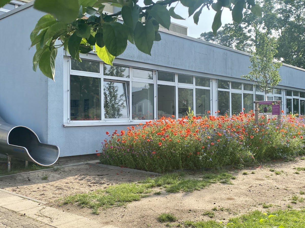 Hans-Quick Schule, Schule in Bickenbach