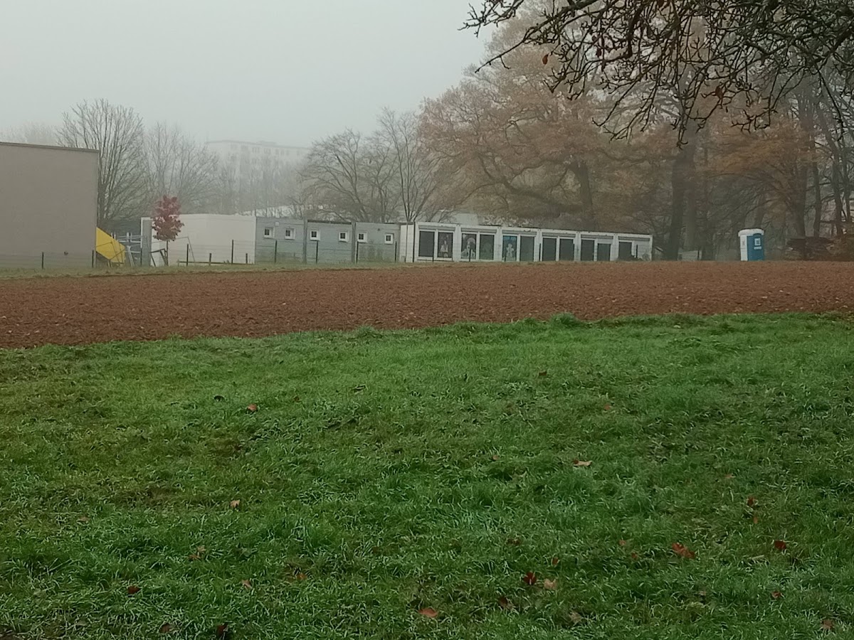 Hardtwaldschule Seulberg, Schule in Friedrichsdorf