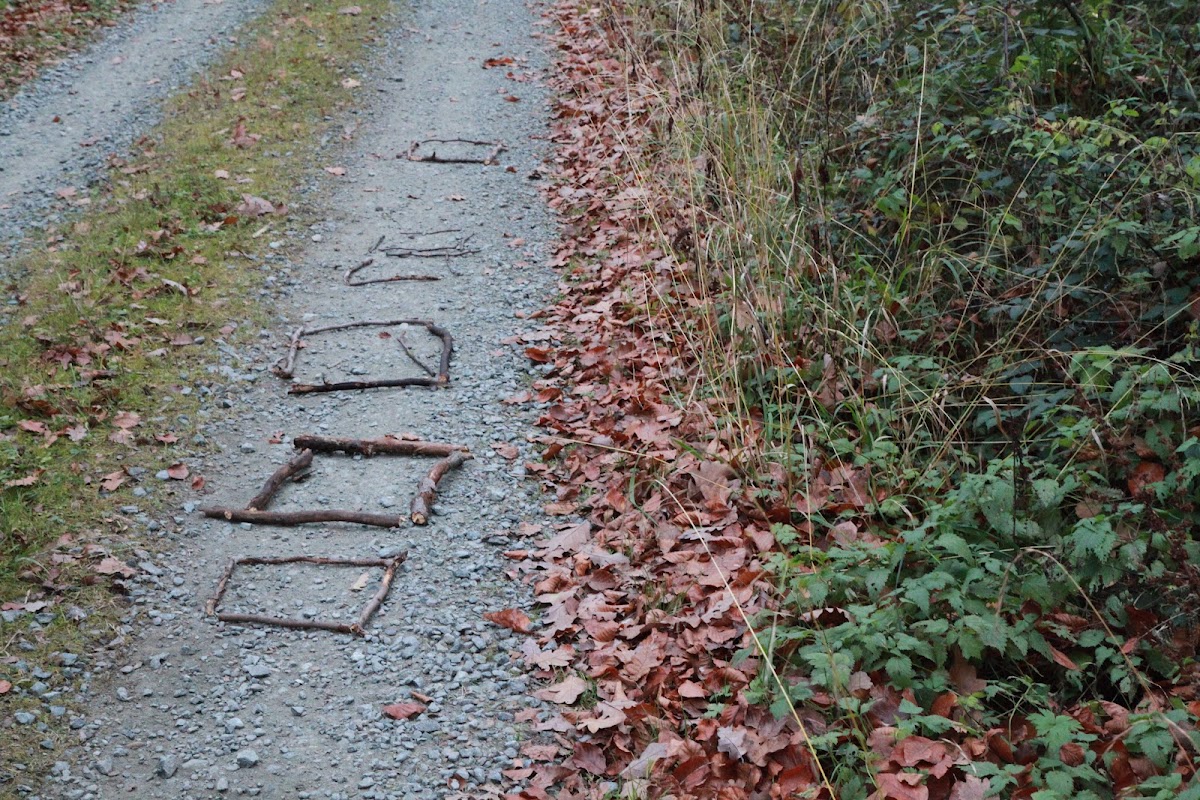 Herr Dipl.-Psych. Cimzetes föiskolai tanar (Prof.) Matthias S. Hartmann M.A., Arzt in Münster (Hessen)