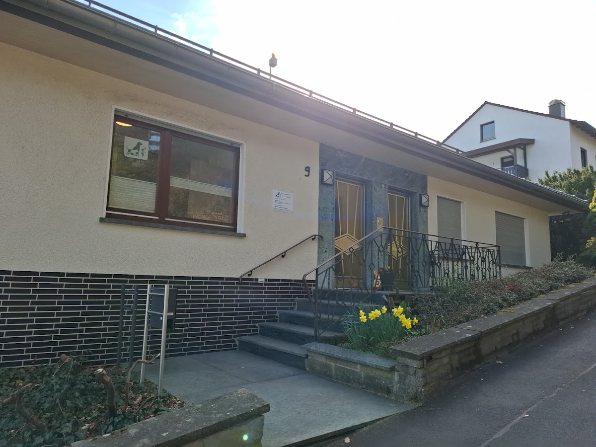 Herr Dipl.-Stom. Andreas Weichsel, Zahnarzt in Burghaun
