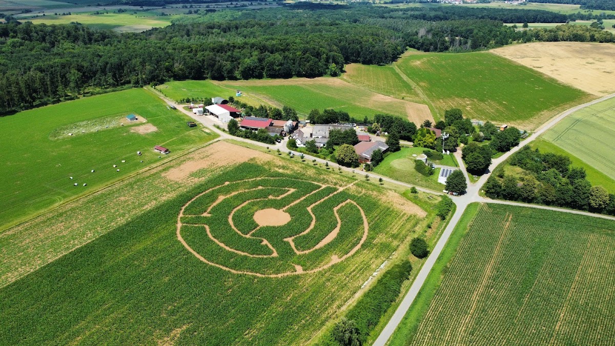 Hof Buchwald, Hofladen in Nidderau