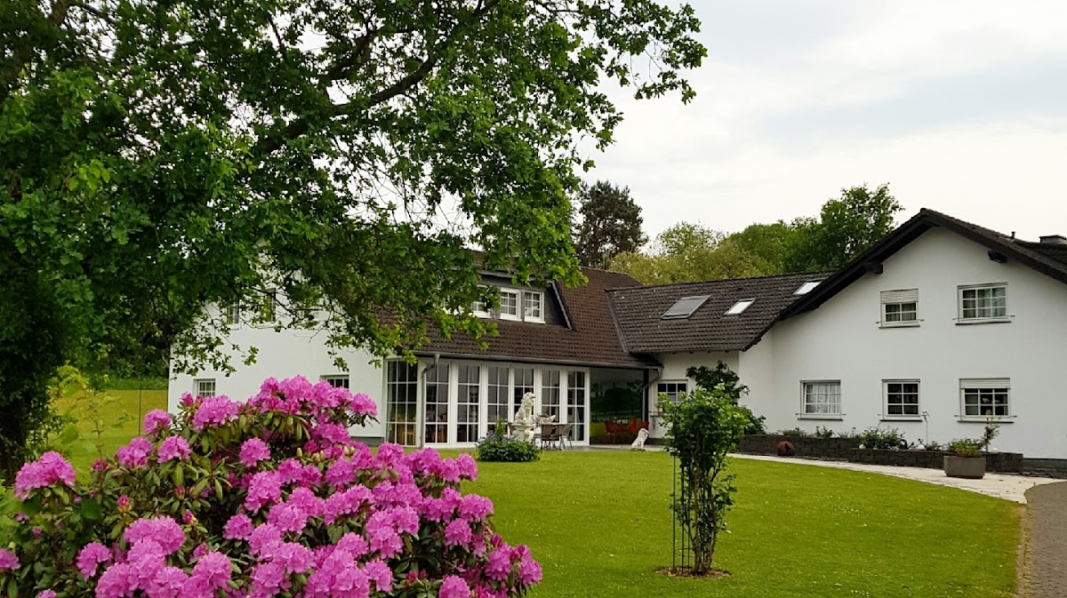 Hotel Ederstrand, Hotel in Frankenberg (Eder)