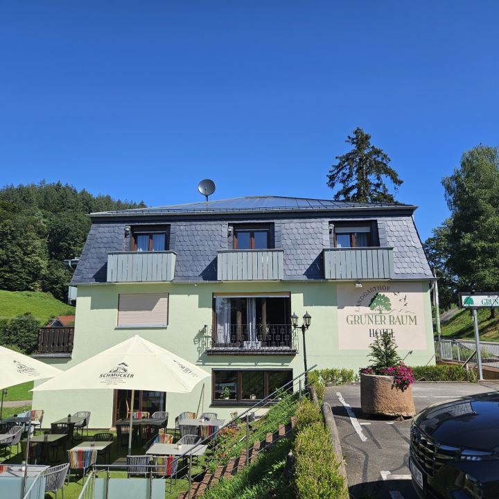 Hotel Grüner Baum, Restaurant in Oberzent