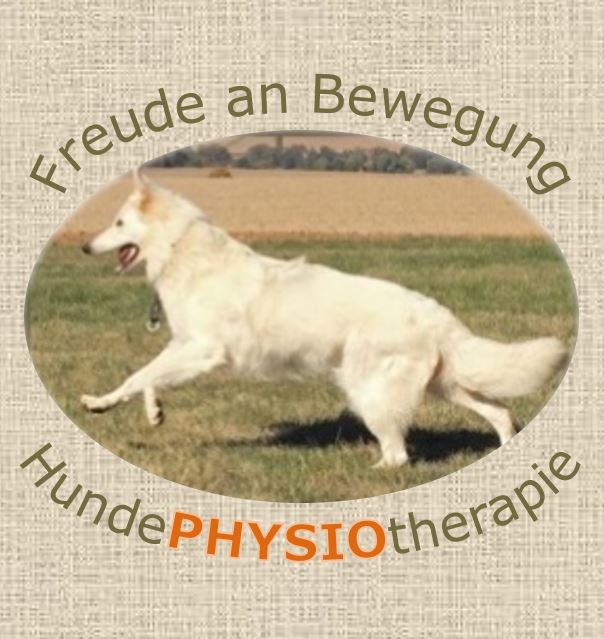 Hunde-Physiotherapie Sabine Schikora, Physiotherapie in Ober-Mörlen