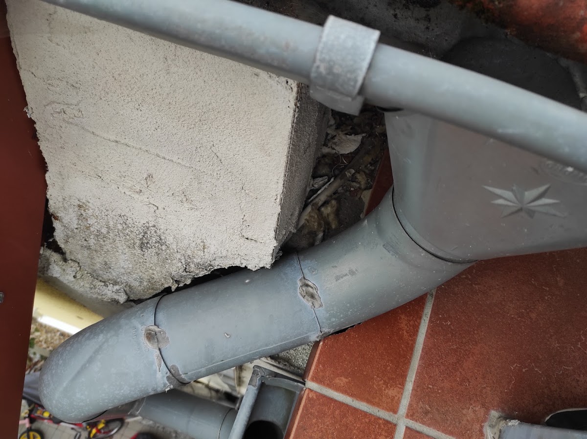 Ihr kleiner Helfer, Rohrreinigung in Rosbach vor der Höhe – Foto 1 von 1