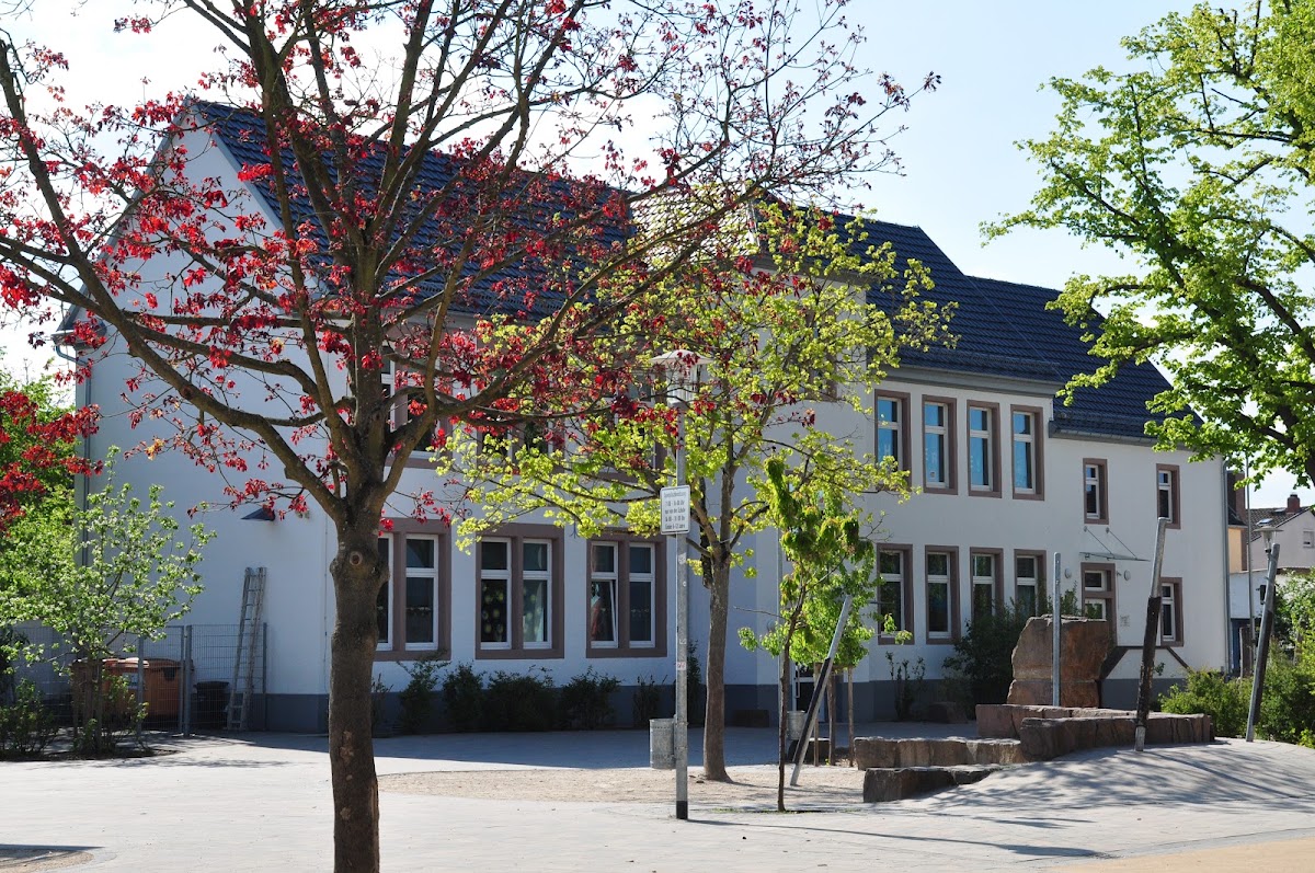 Insel-Kühkopf-Schule, Schule in Stockstadt am Rhein
