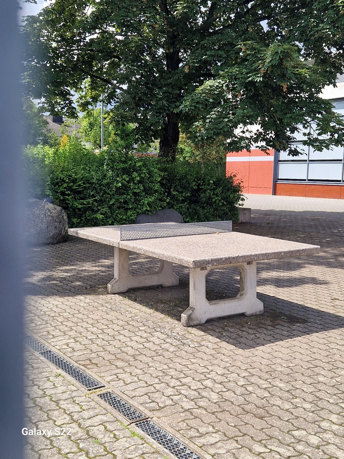 Käthe-Kollwitz-Schule Langenselbold, Schule in Langenselbold – Foto 1 von 1
