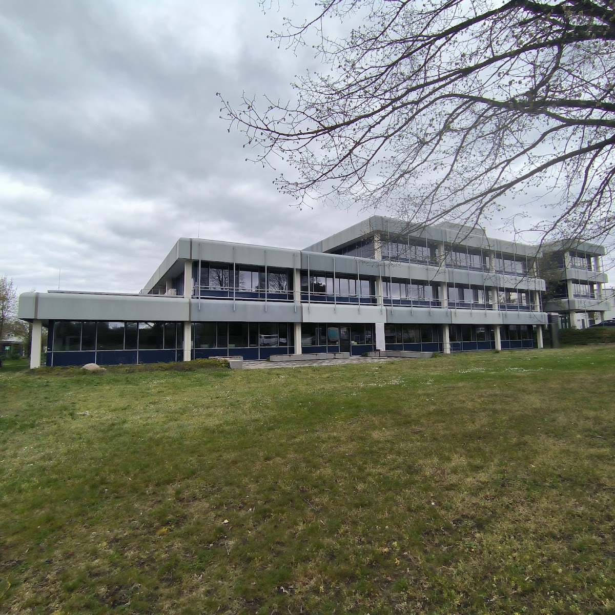 Käthe-Kollwitz-Schule Offenbach am Main, Schule in Offenbach am Main