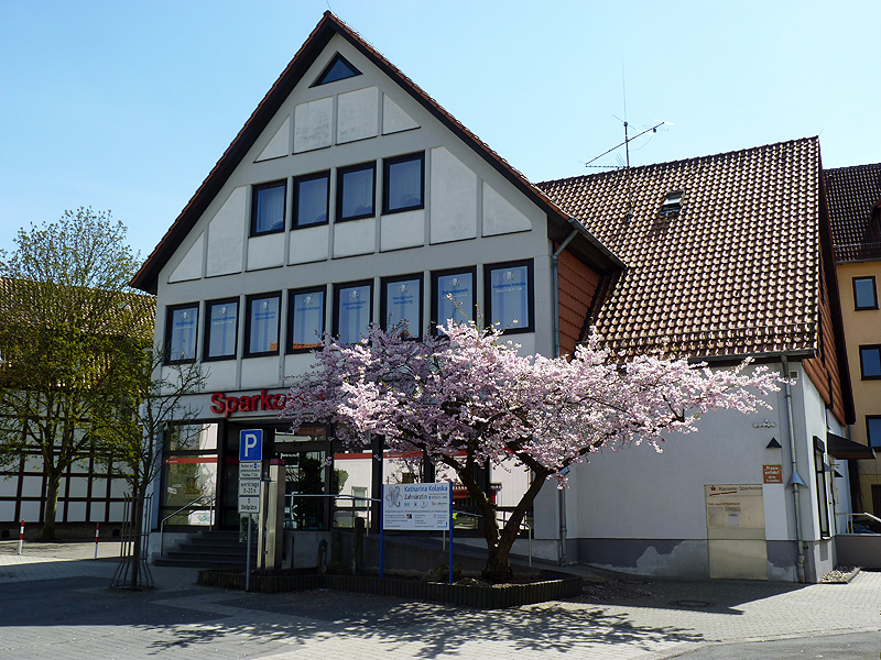 Katharina Kolaska Zahnärztin, Zahnarzt in Naumburg