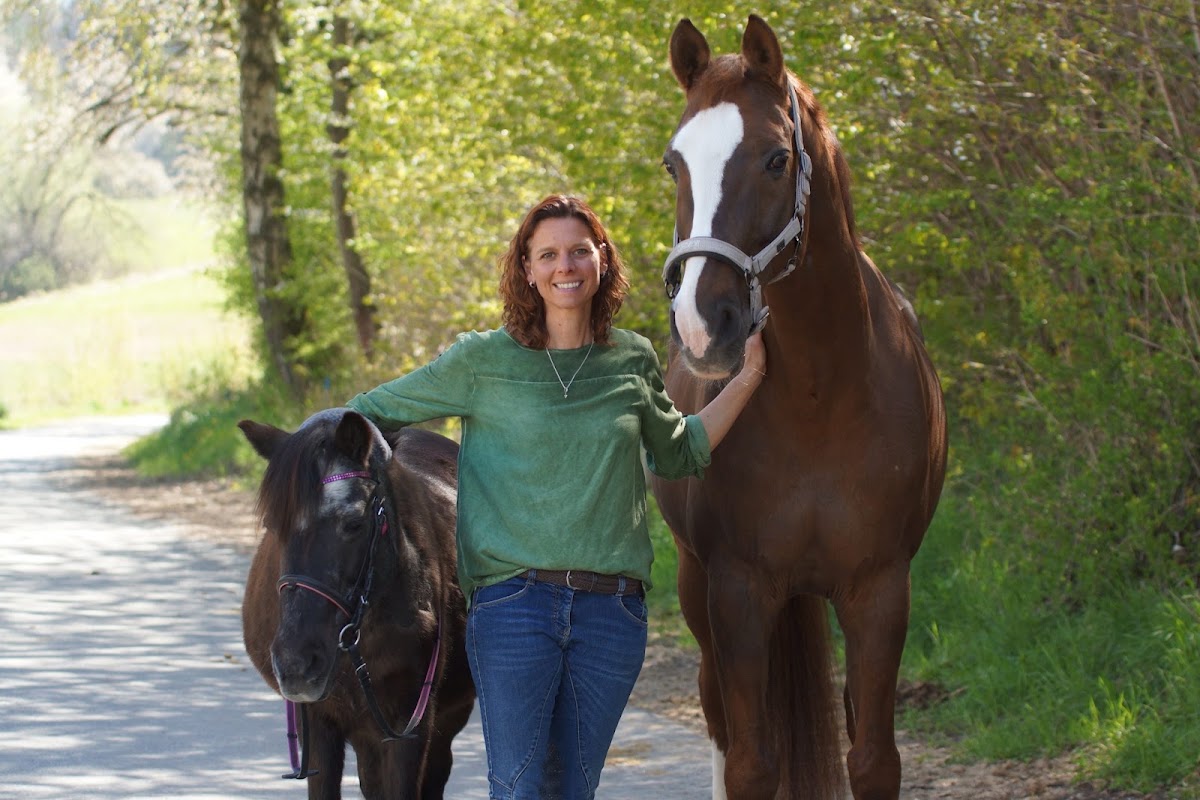 Katja Rückert: Physiotherapie für Pferde und Ponys, Physiotherapie in Bickenbach