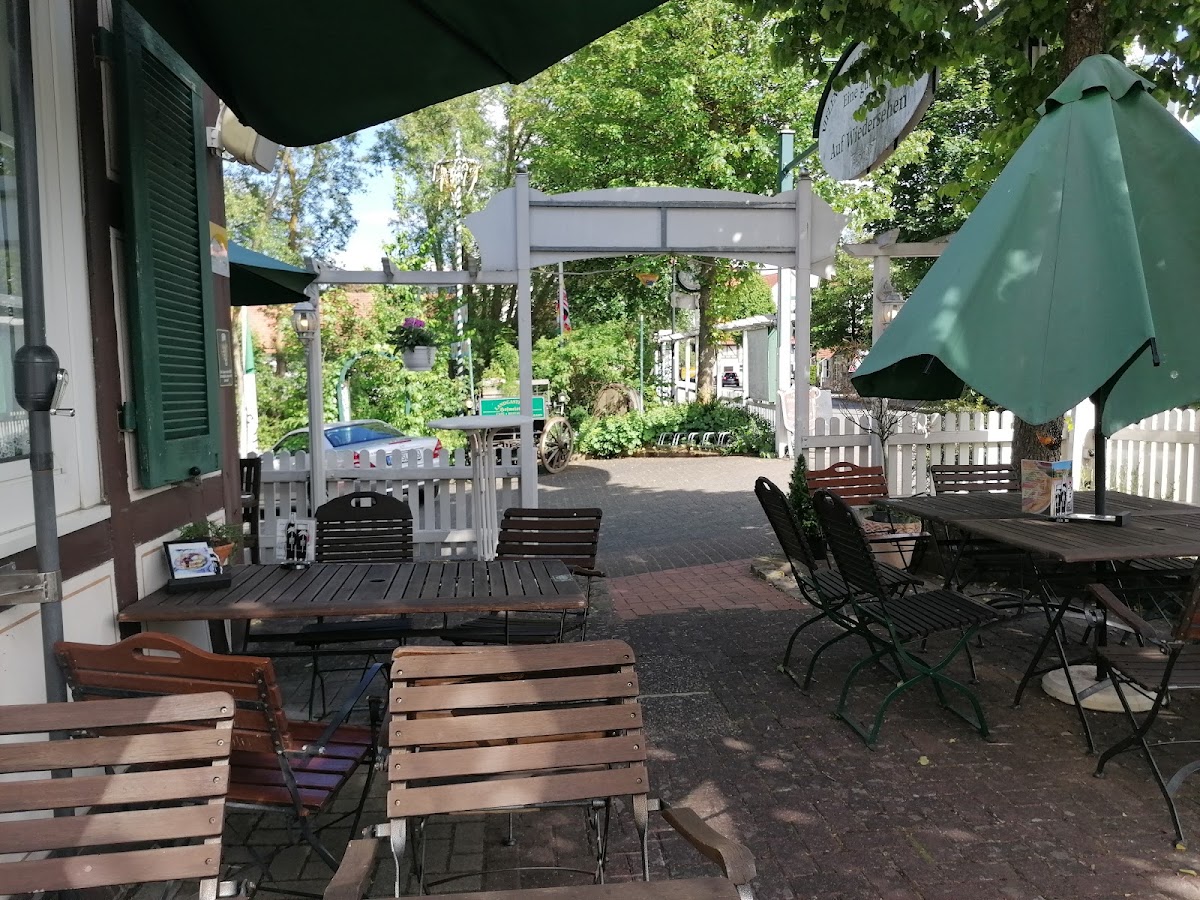 Landgasthaus Hofmeister, Restaurant in Diemelsee